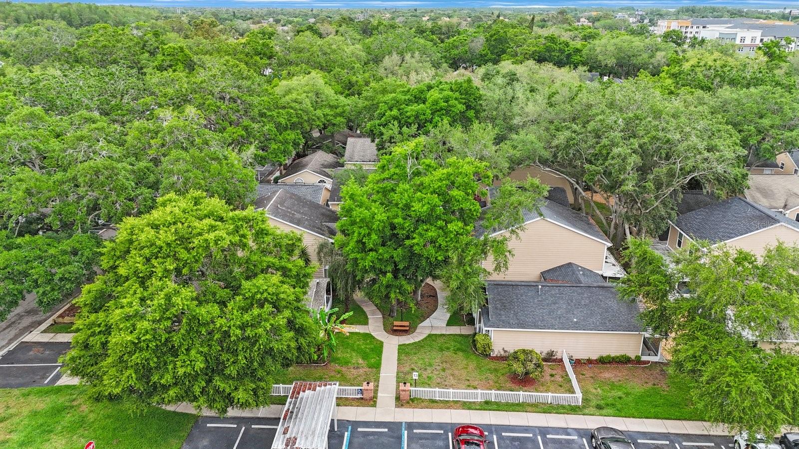 2381 HOUNDS TRL, PALM HARBOR, FL, 34683