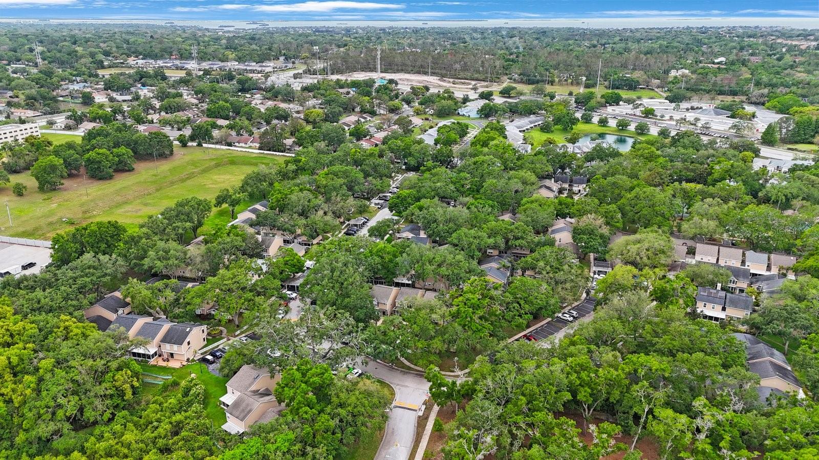 2381 HOUNDS TRL, PALM HARBOR, FL, 34683