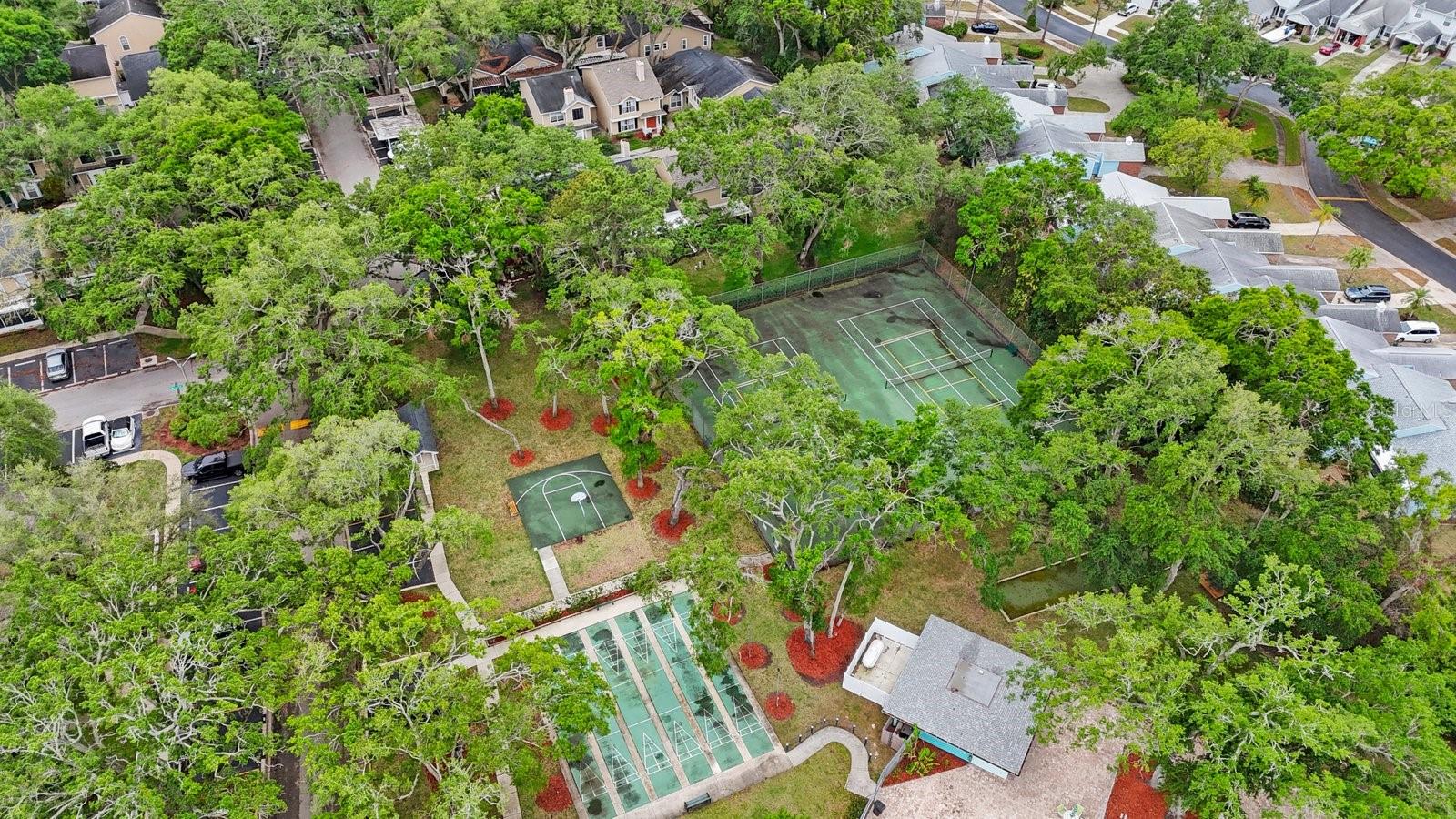 2381 HOUNDS TRL, PALM HARBOR, FL, 34683