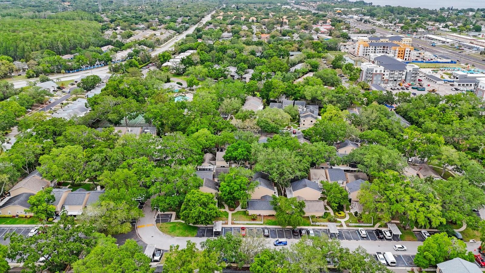 2381 HOUNDS TRL, PALM HARBOR, FL, 34683