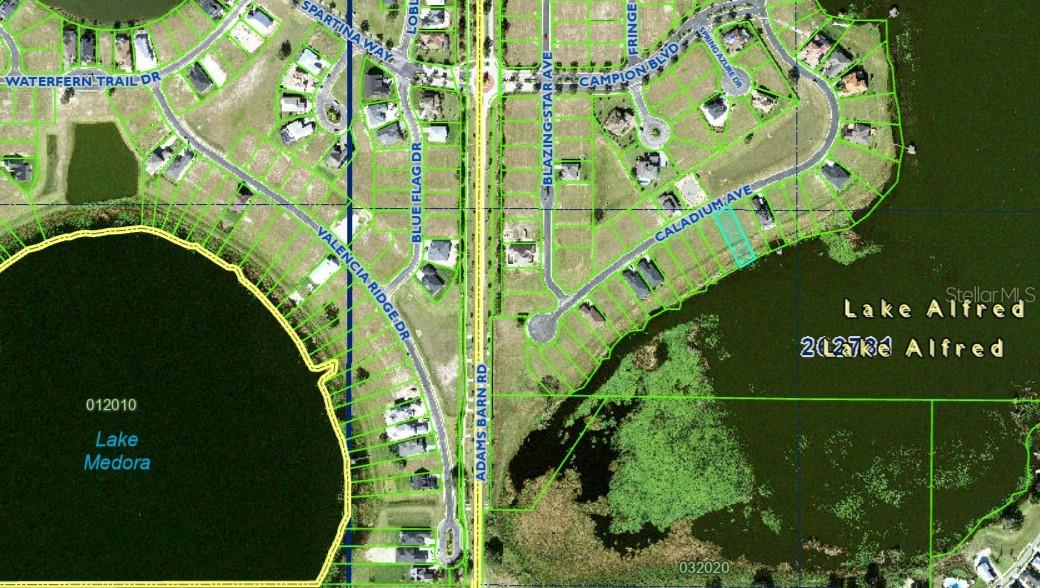 160 CALADIUM AVE, LAKE ALFRED, FL, 33850