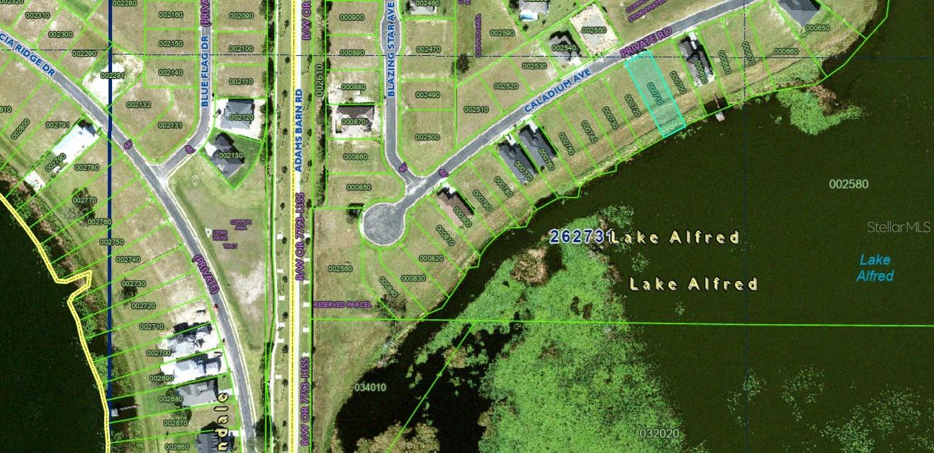 160 CALADIUM AVE, LAKE ALFRED, FL, 33850