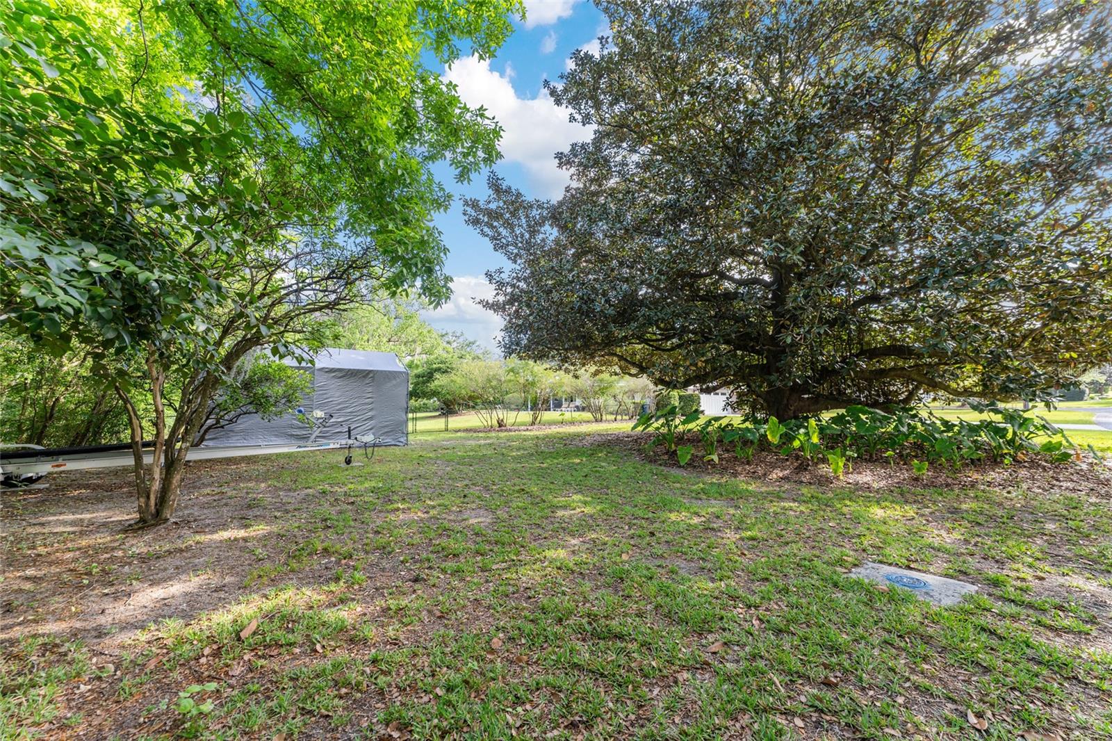 1126 SE 15TH AVE, OCALA, FL, 34471