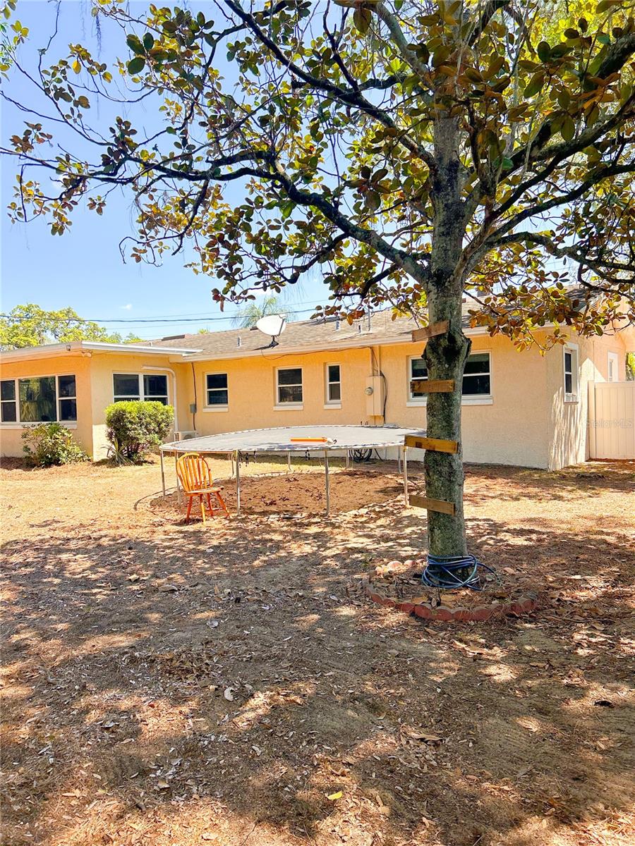 802 HASELTON ST, EUSTIS, FL, 32726