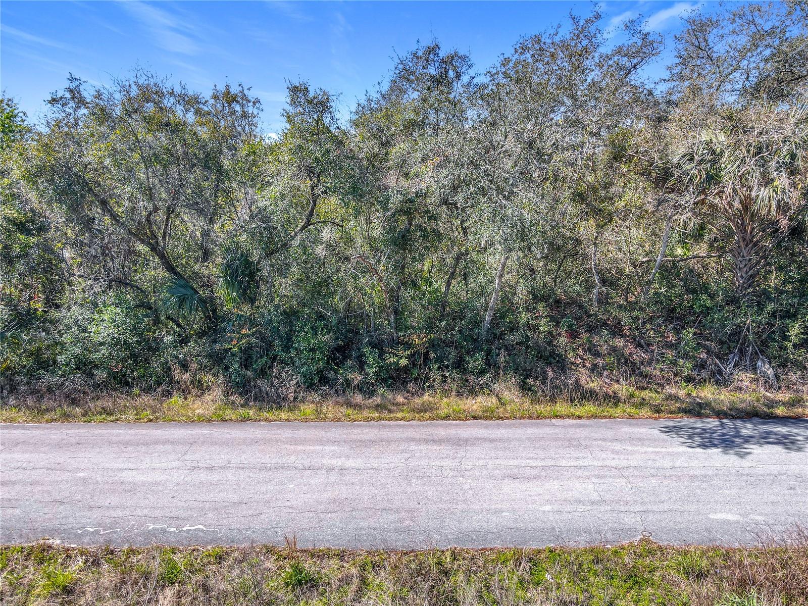 SKYLINE DR, DELAND, FL, 32720
