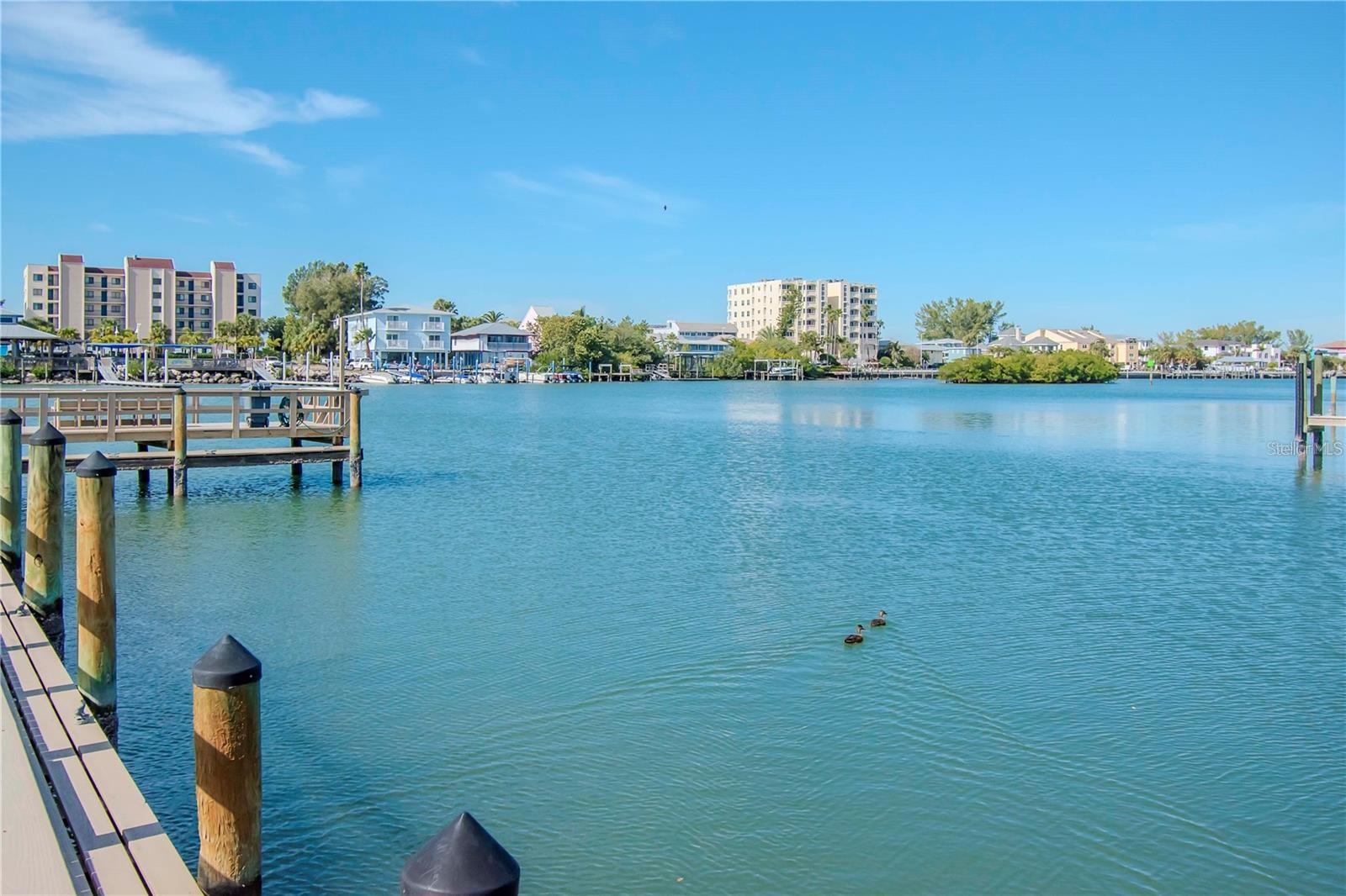 10351 REGAL DR #8, LARGO, FL, 33774
