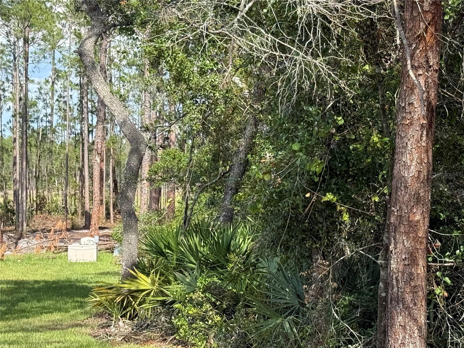 ASPEN ST, EUSTIS, FL, 32736