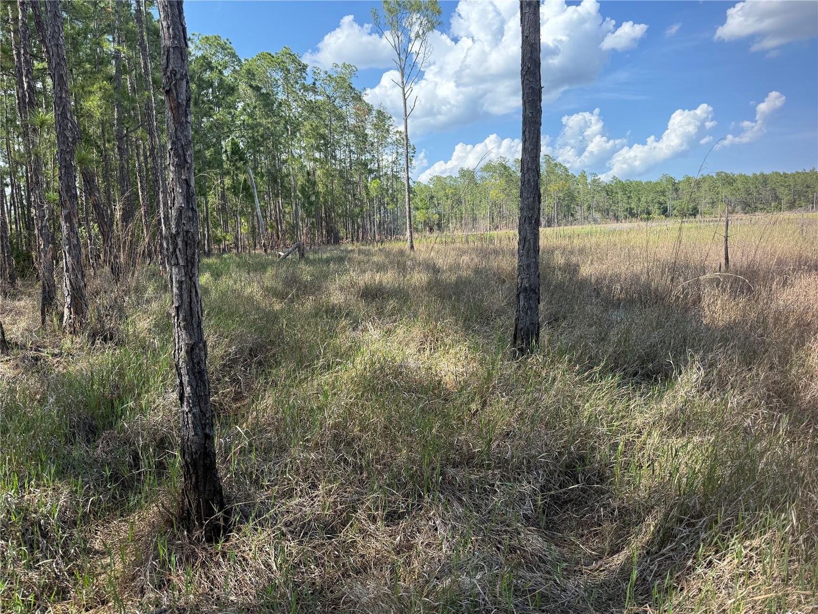 ASPEN ST, EUSTIS, FL, 32736