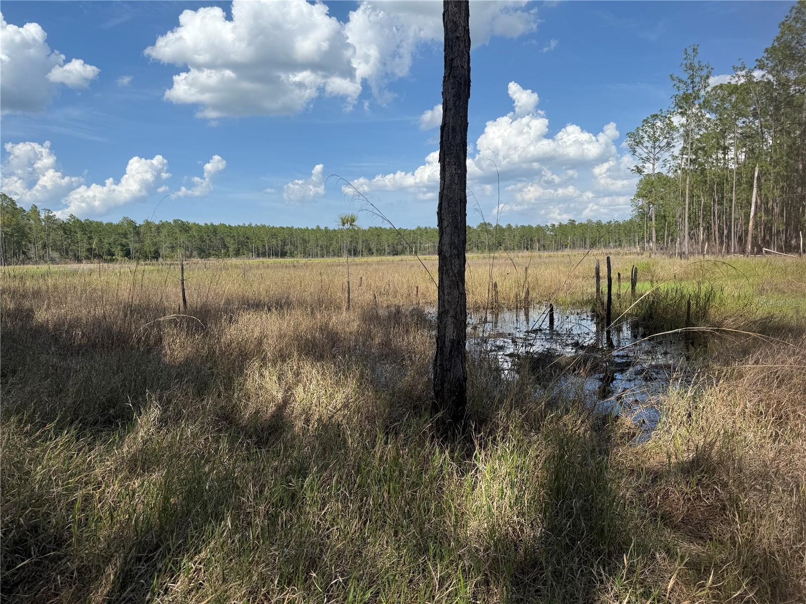 ASPEN ST, EUSTIS, FL, 32736
