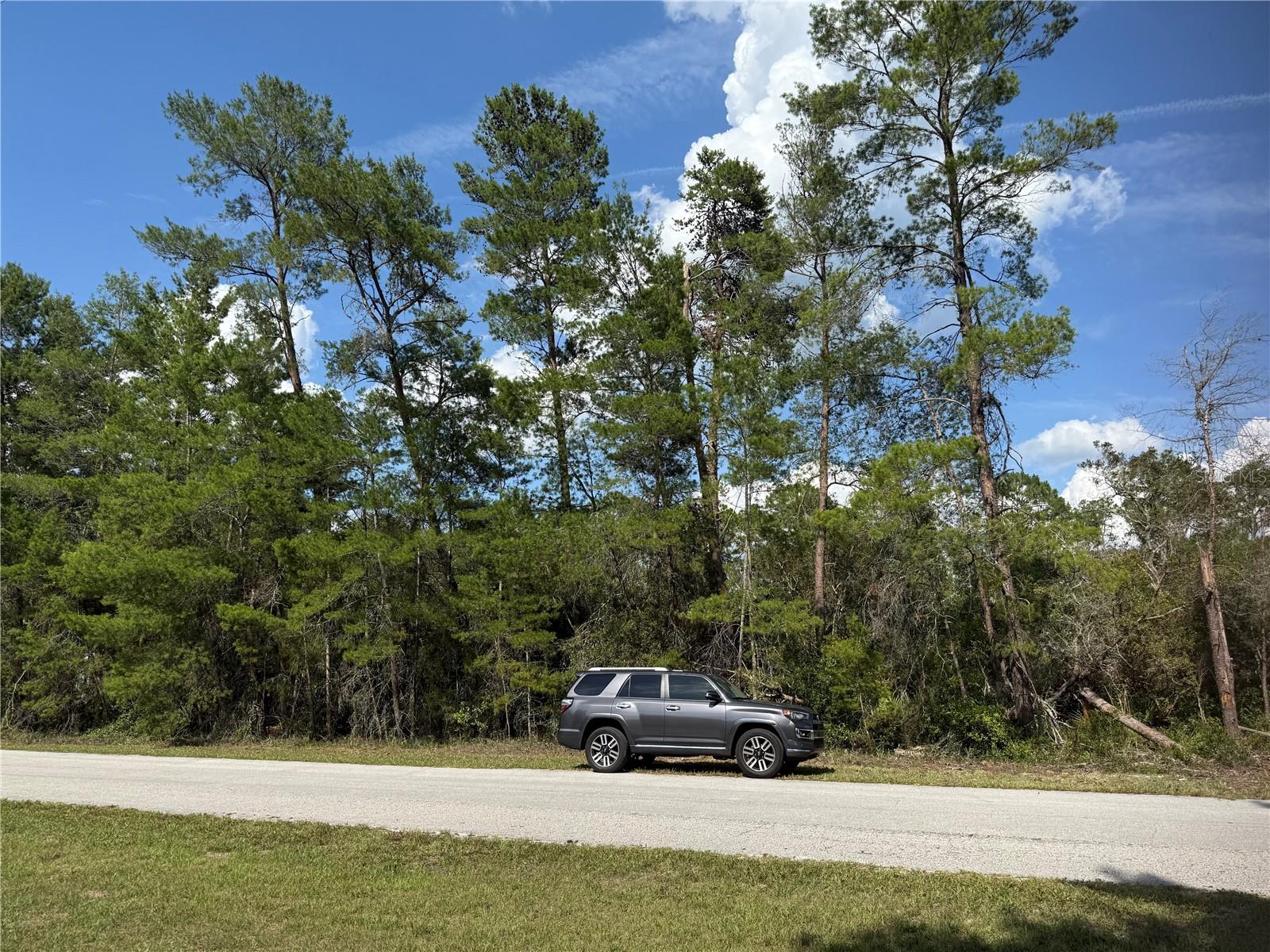 ASPEN ST, EUSTIS, FL, 32736