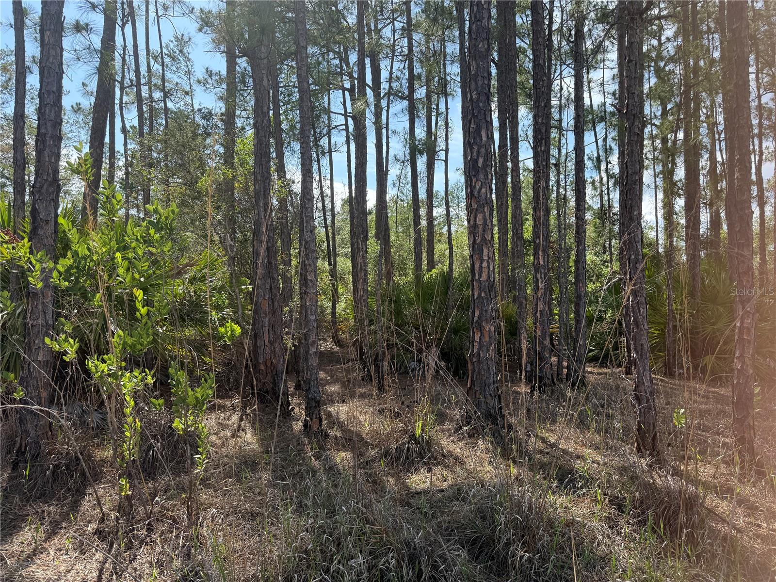 ASPEN ST, EUSTIS, FL, 32736