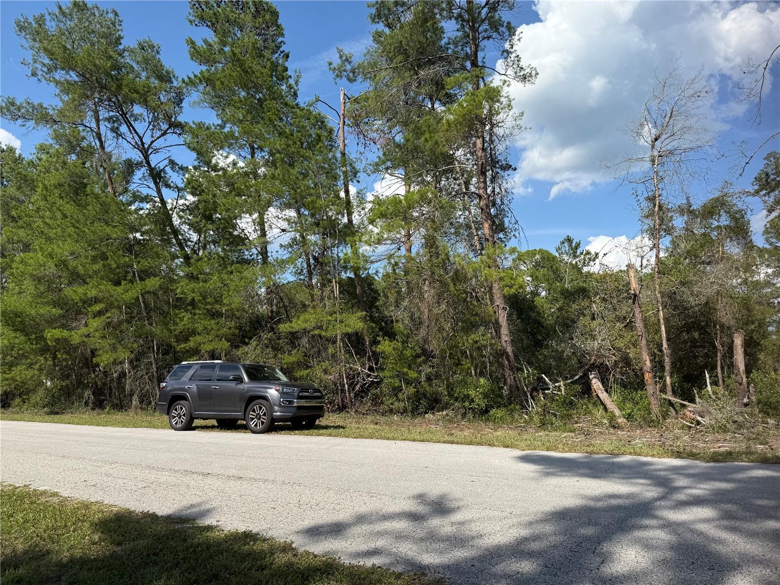 ASPEN ST, EUSTIS, FL, 32736