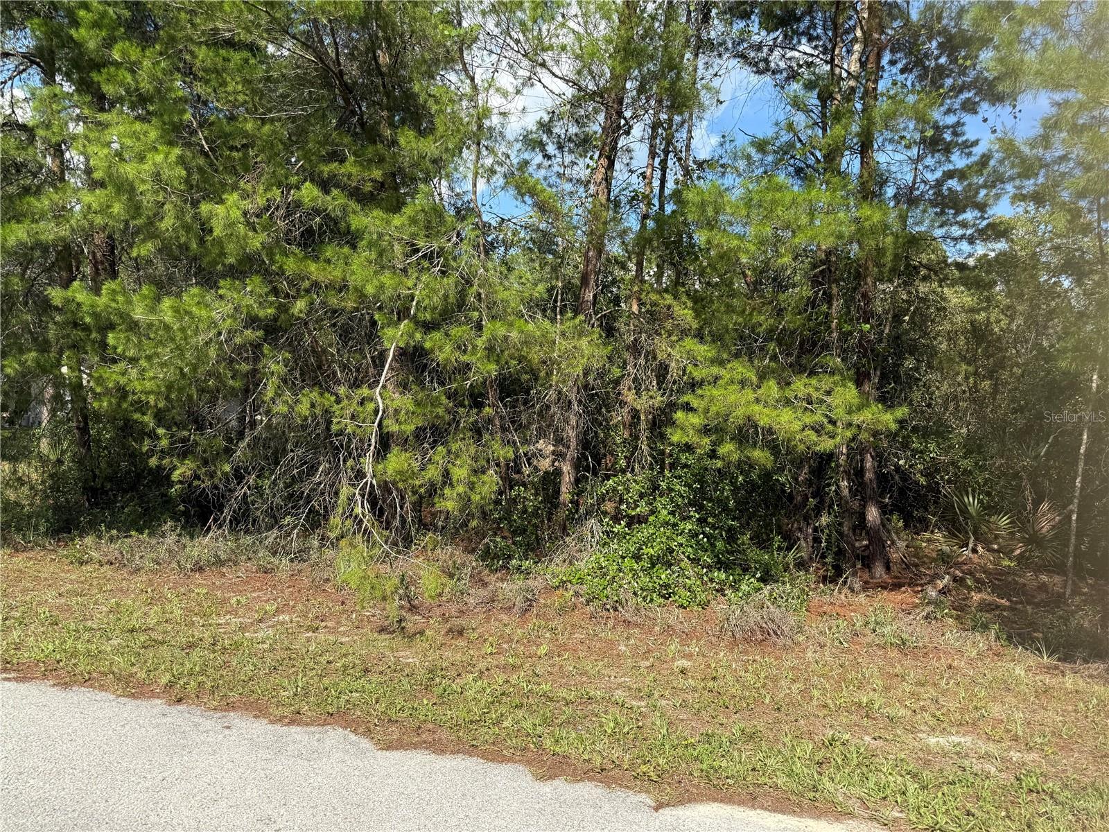 ASPEN ST, EUSTIS, FL, 32736