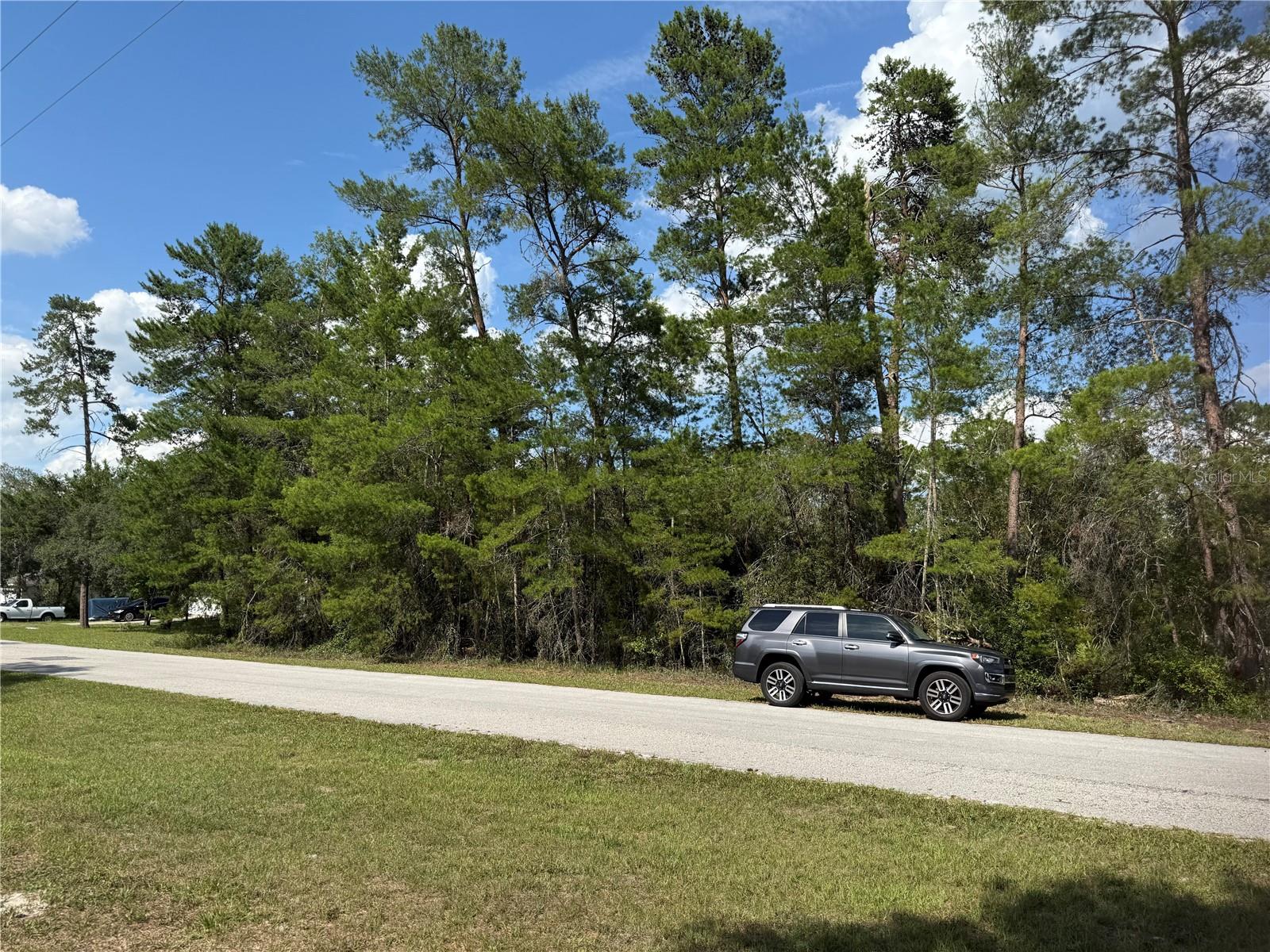 ASPEN ST, EUSTIS, FL, 32736