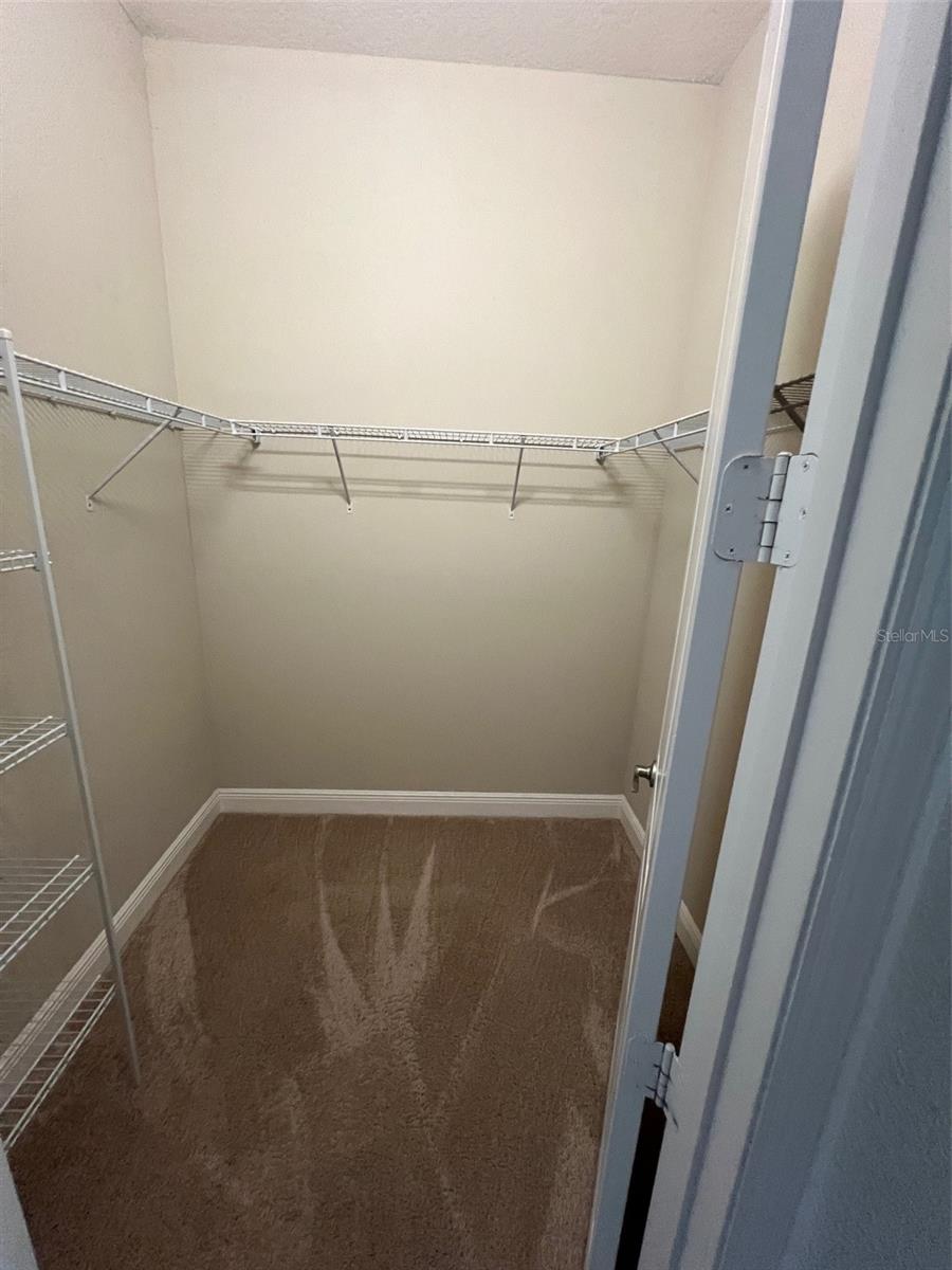 30447 CEASAR PARK DR, WESLEY CHAPEL, FL, 33543
