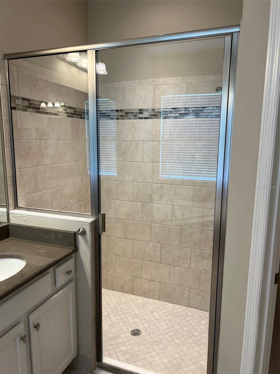 30447 CEASAR PARK DR, WESLEY CHAPEL, FL, 33543