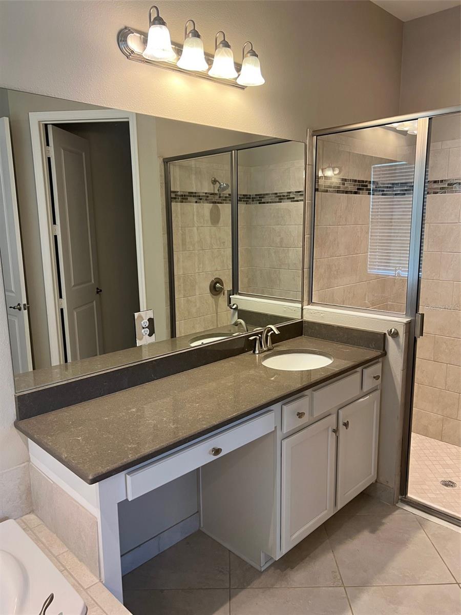 30447 CEASAR PARK DR, WESLEY CHAPEL, FL, 33543