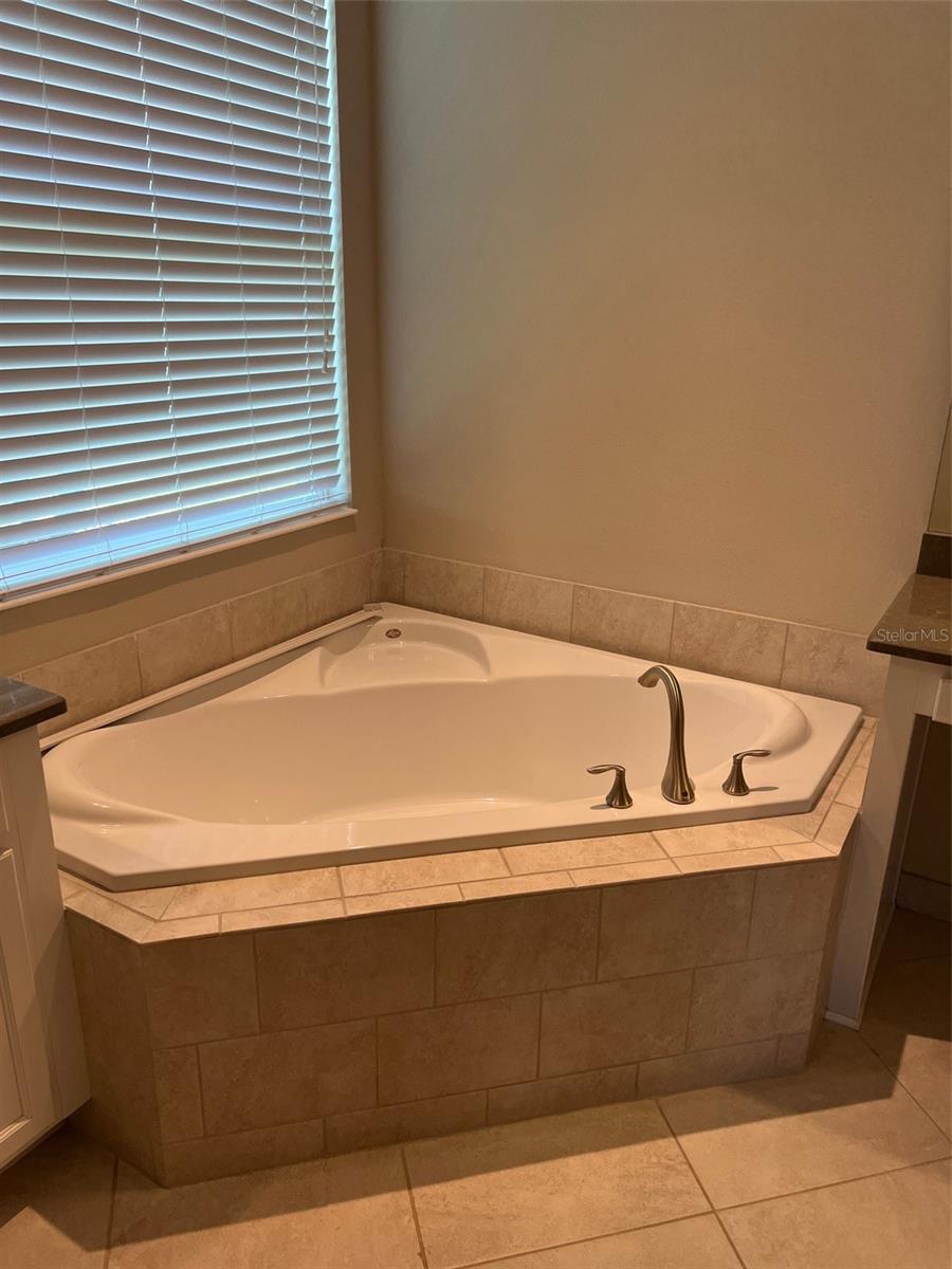 30447 CEASAR PARK DR, WESLEY CHAPEL, FL, 33543