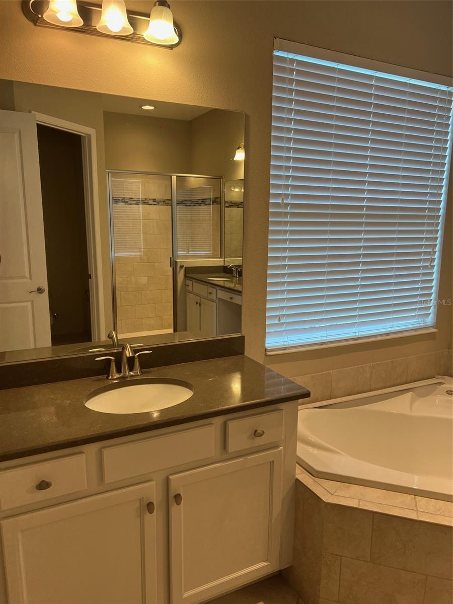 30447 CEASAR PARK DR, WESLEY CHAPEL, FL, 33543
