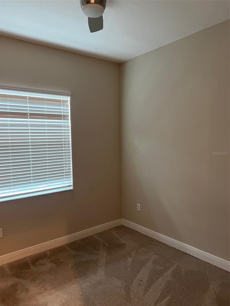 30447 CEASAR PARK DR, WESLEY CHAPEL, FL, 33543