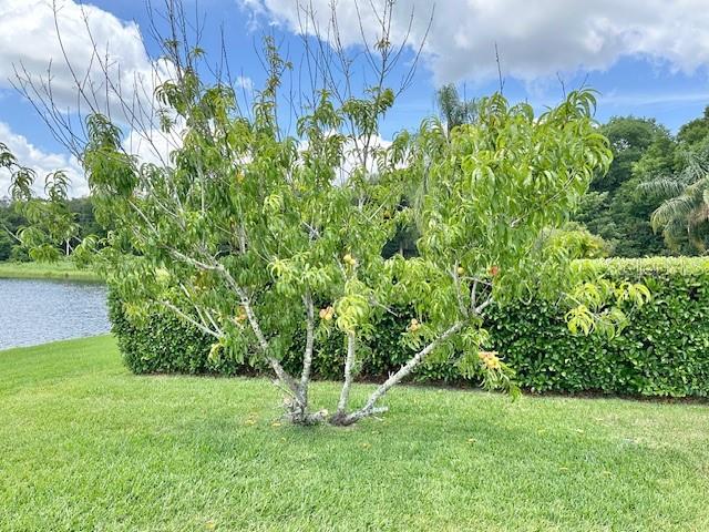 2361 MID PINE CT, OVIEDO, FL, 32765