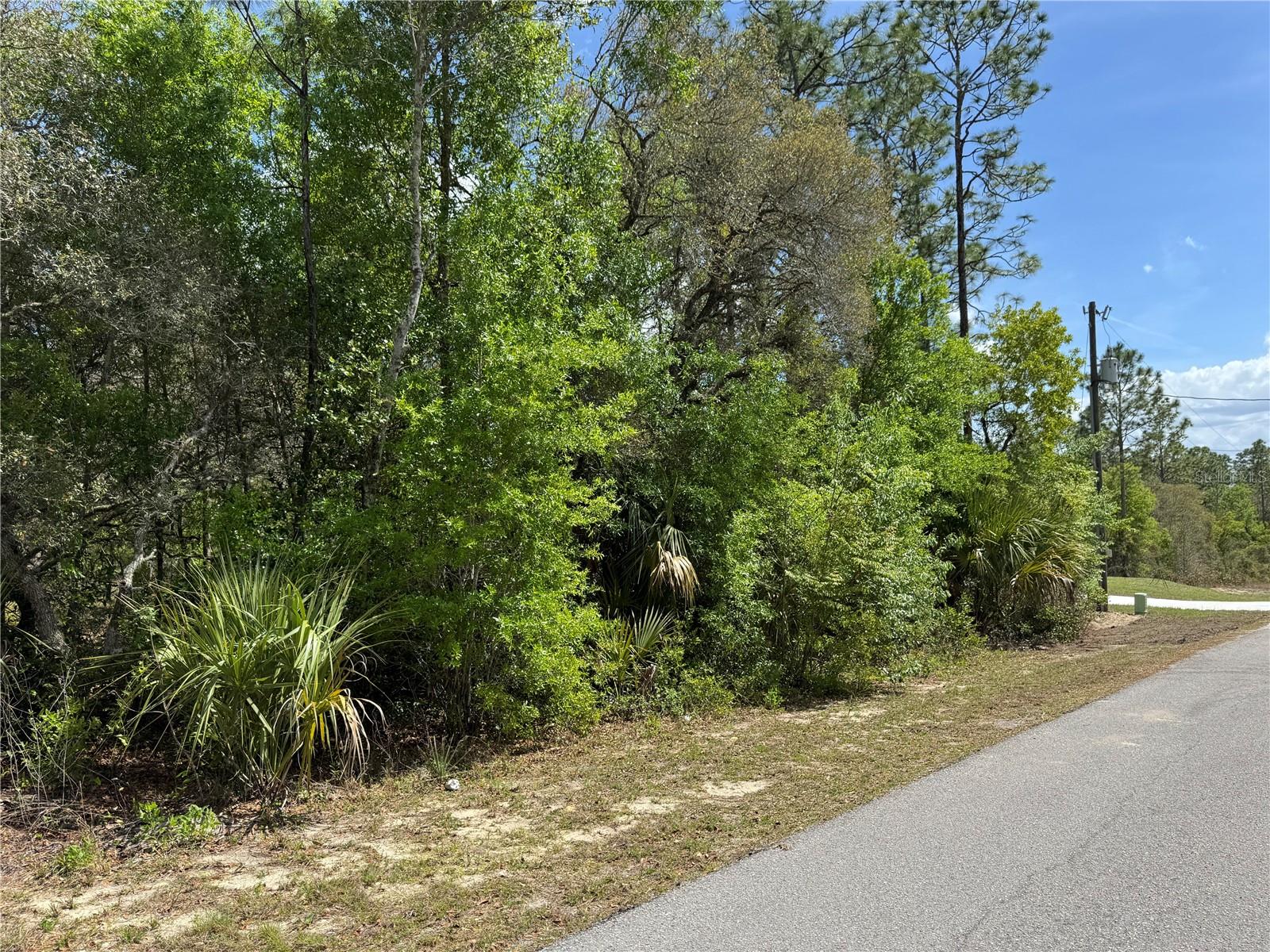 TBD SW BIG BEAR RDG, DUNNELLON, FL, 34431