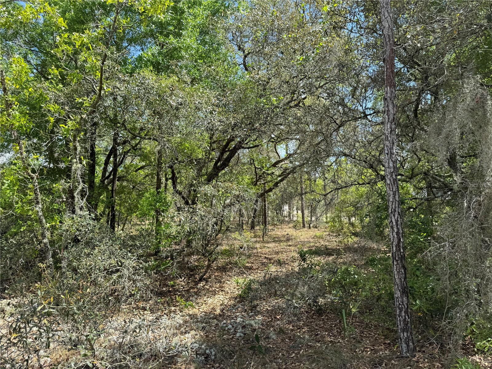 TBD SW BIG BEAR RDG, DUNNELLON, FL, 34431