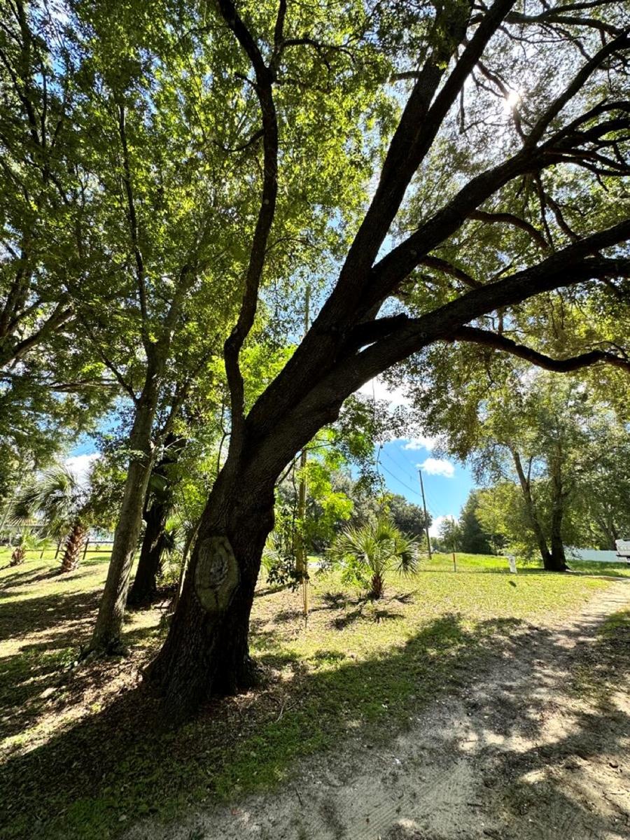SE 106TH CT, BELLEVIEW, FL, 34420