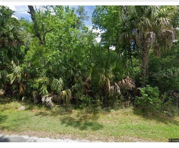 11683 W DEODAR ST, CRYSTAL RIVER, FL, 34428