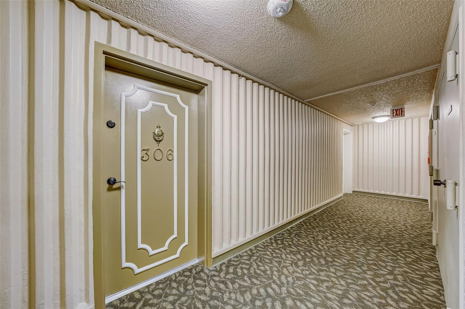 4141 BAYSHORE BLVD #306, TAMPA, FL, 33611