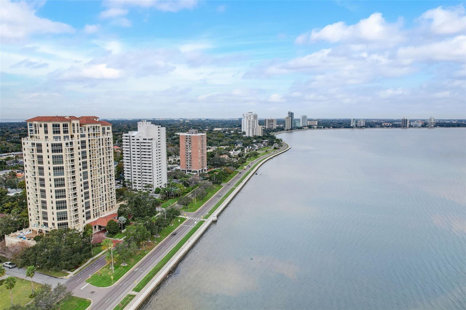 4141 BAYSHORE BLVD #306, TAMPA, FL, 33611