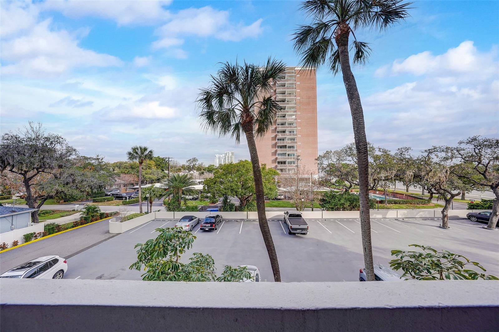 4141 BAYSHORE BLVD #306, TAMPA, FL, 33611