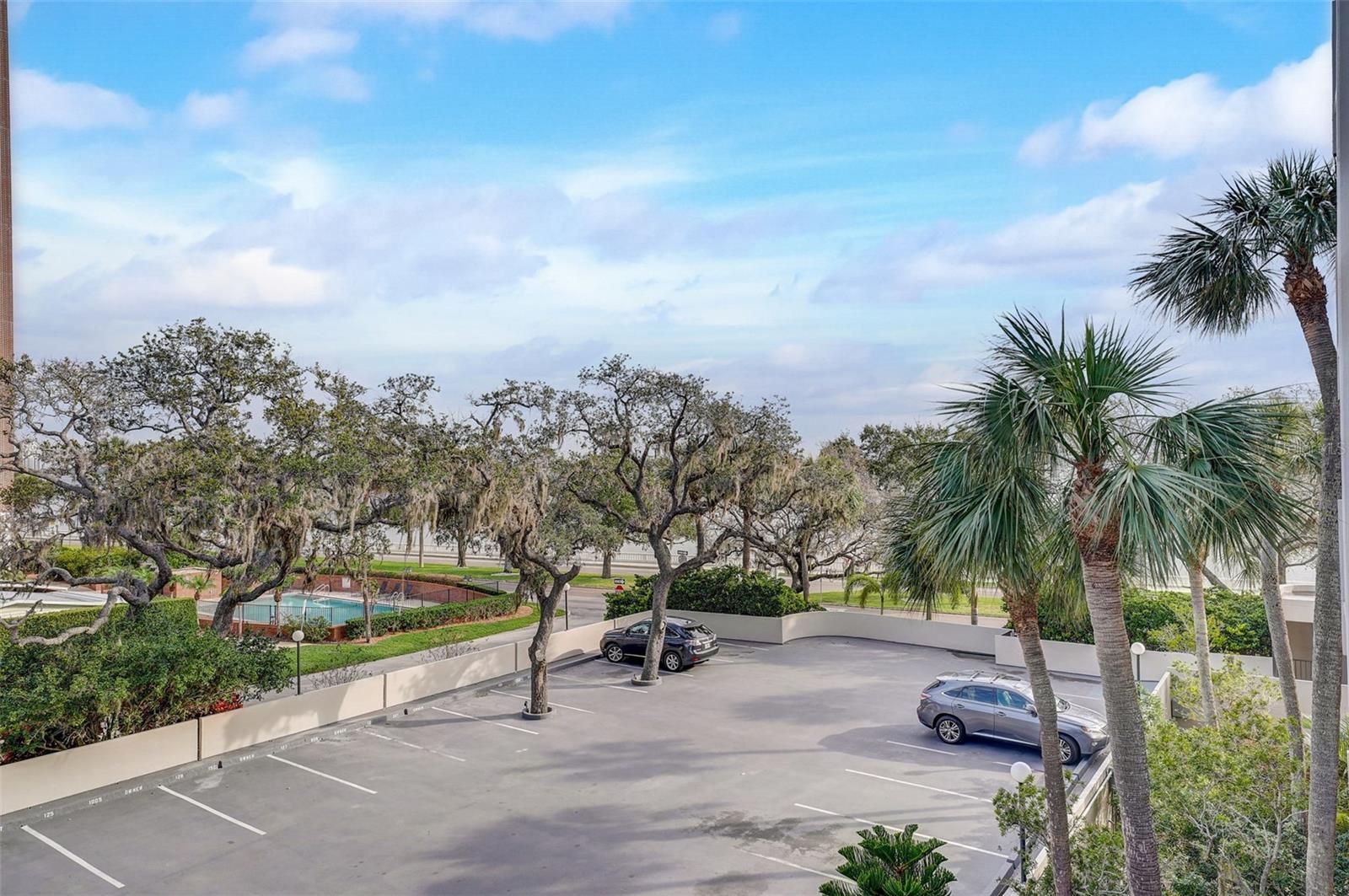 4141 BAYSHORE BLVD #306, TAMPA, FL, 33611