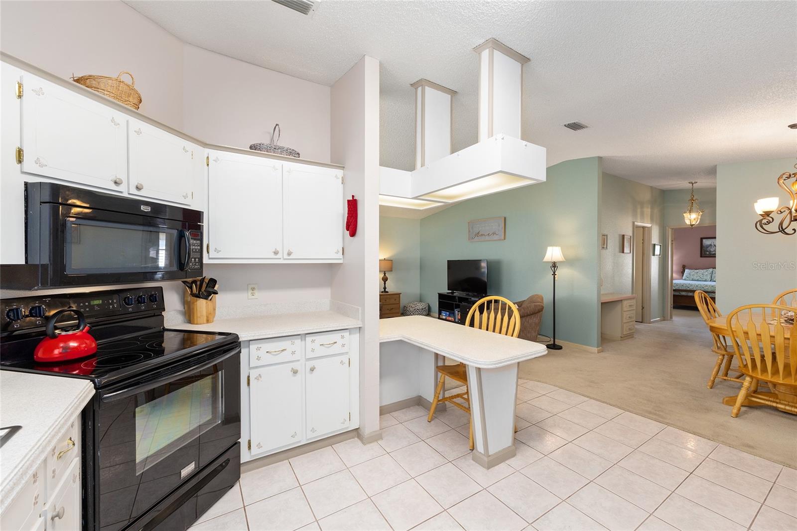 705 PRADO DR, THE VILLAGES, FL, 32159