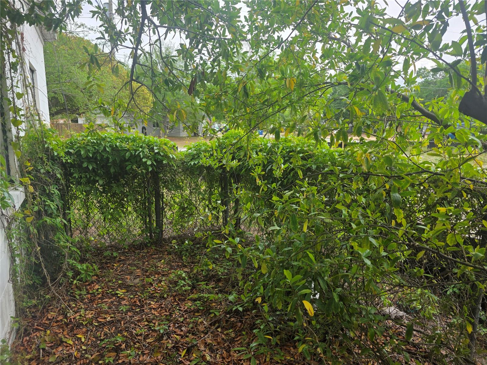 2507 LAFAYETTE AVE, WINTER PARK, FL, 32789