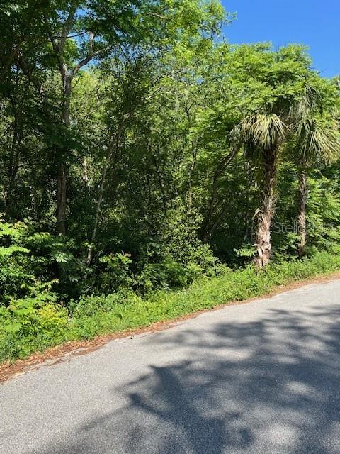 N THORPE AVE, ORANGE CITY, FL, 32763