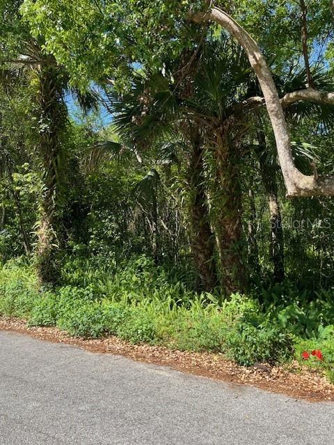 N THORPE AVE, ORANGE CITY, FL, 32763