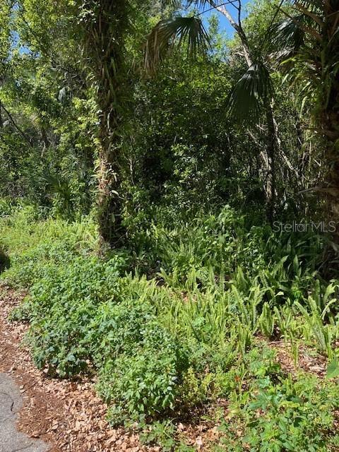 N THORPE AVE, ORANGE CITY, FL, 32763