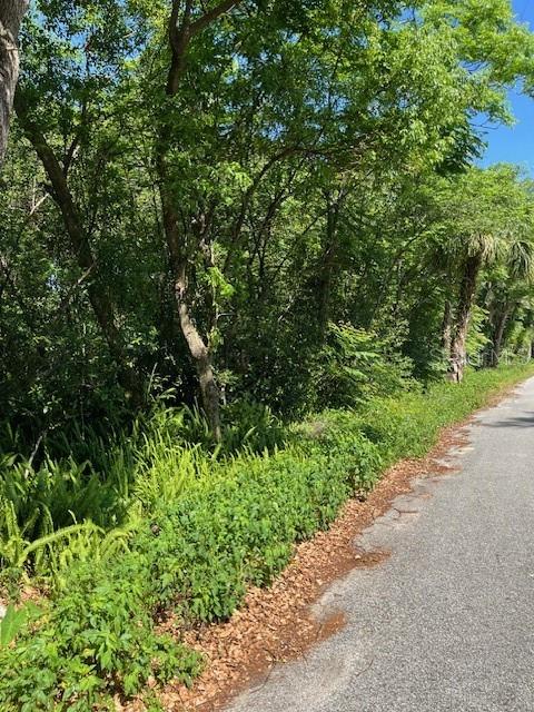 N THORPE AVE, ORANGE CITY, FL, 32763