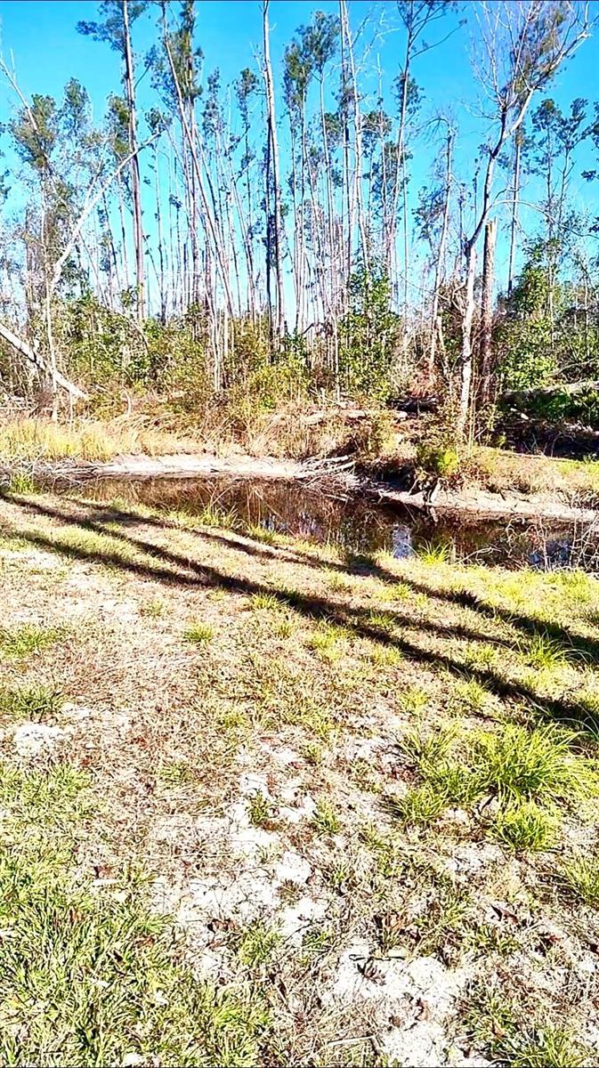 4000 NE 113TH PL, JASPER, FL, 32052