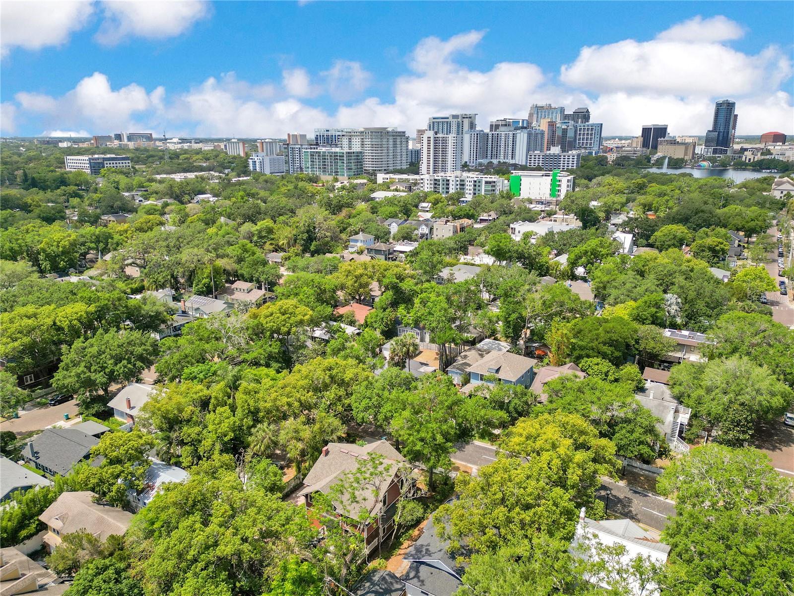 117 N THORNTON AVE, ORLANDO, FL, 32801