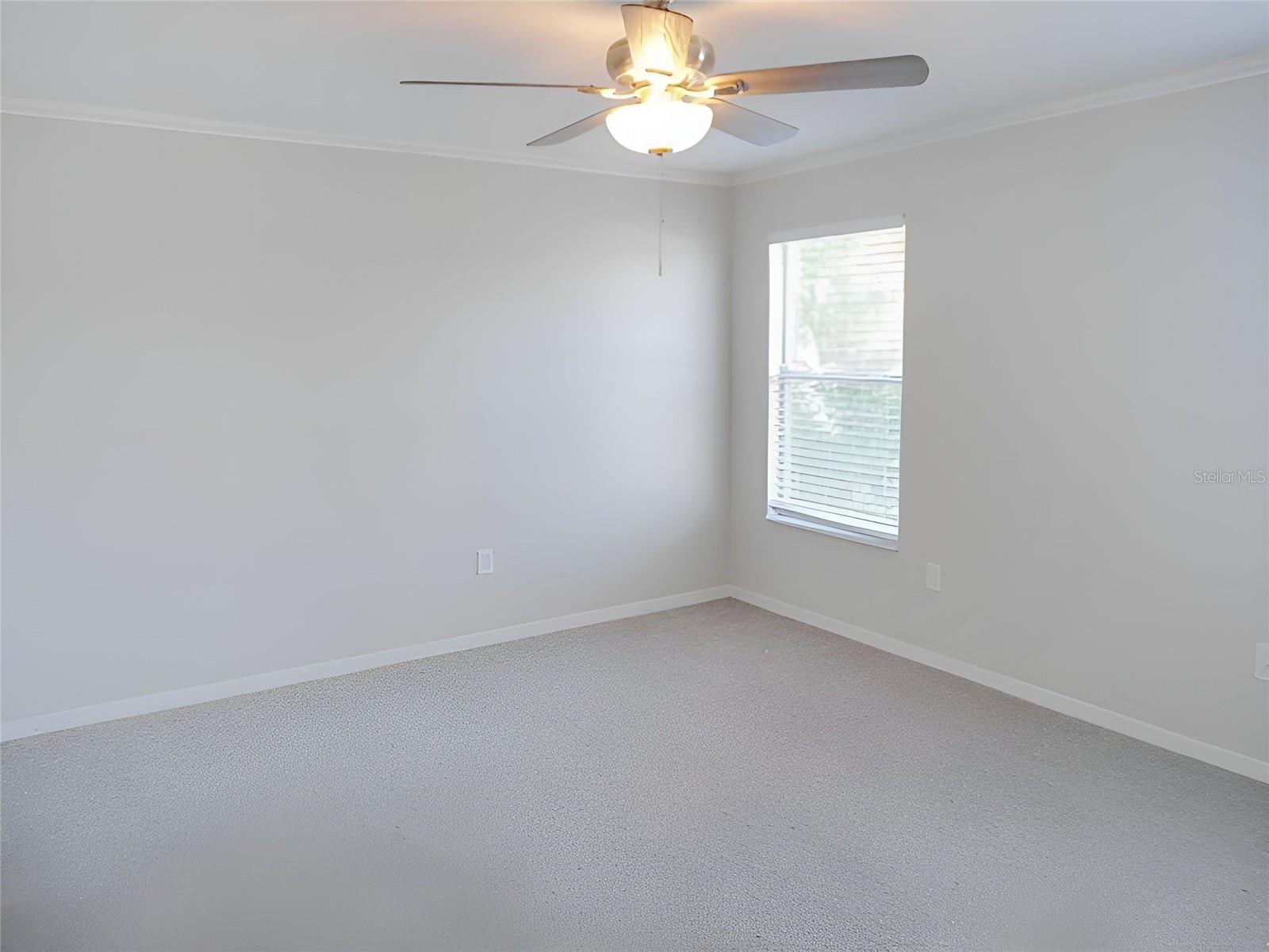 12431 WHITE BLUFF RD, HUDSON, FL, 34669