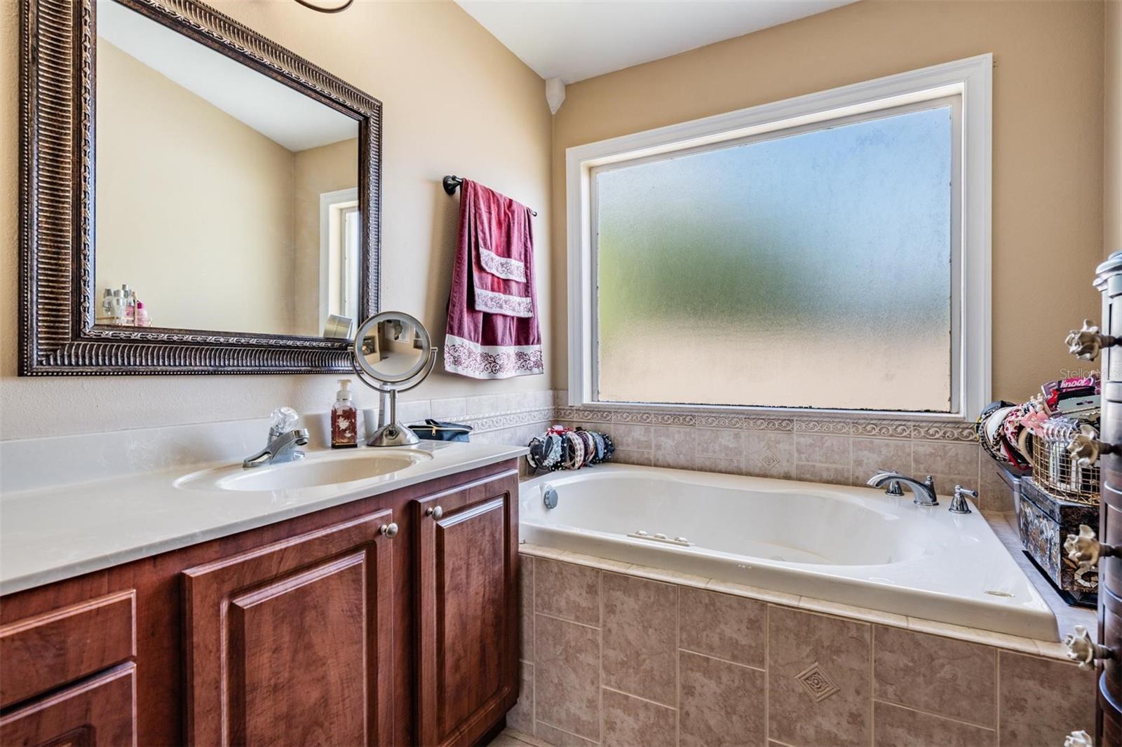 10003 VISTA POINTE DR, TAMPA, FL, 33635