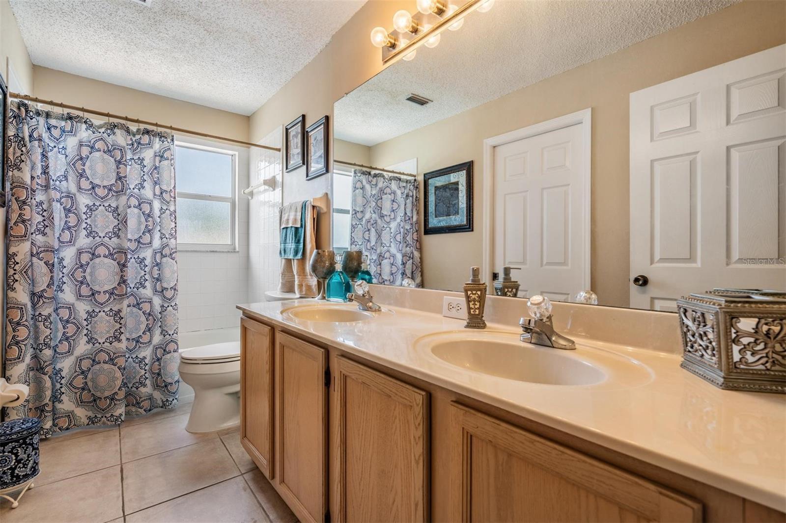 10003 VISTA POINTE DR, TAMPA, FL, 33635