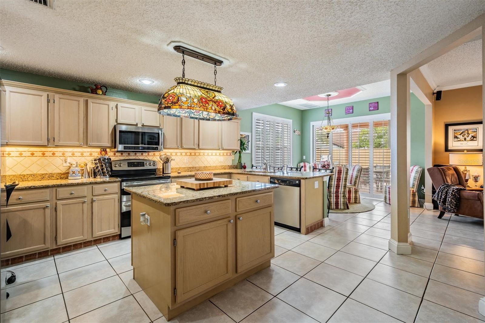 10003 VISTA POINTE DR, TAMPA, FL, 33635