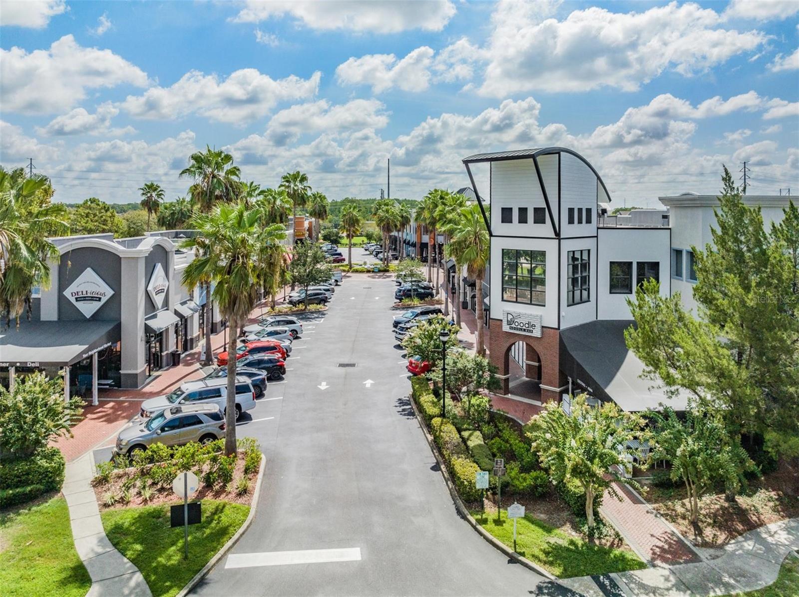 10003 VISTA POINTE DR, TAMPA, FL, 33635