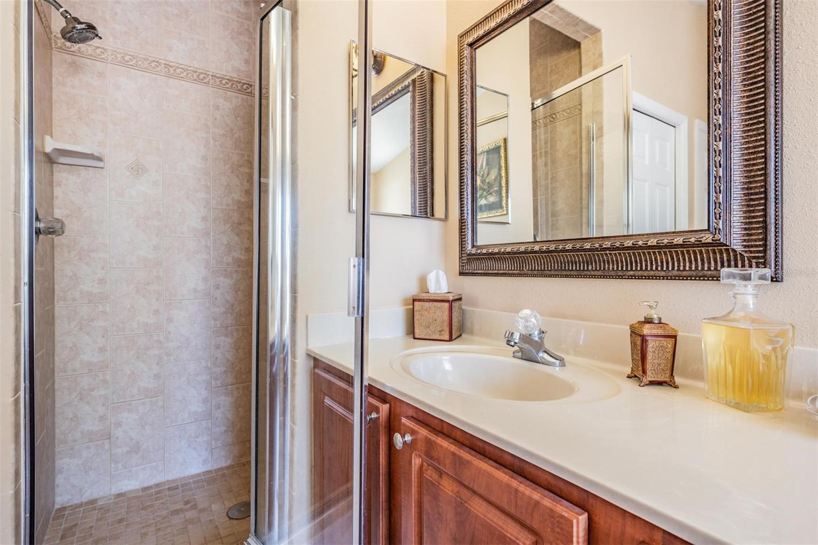 10003 VISTA POINTE DR, TAMPA, FL, 33635