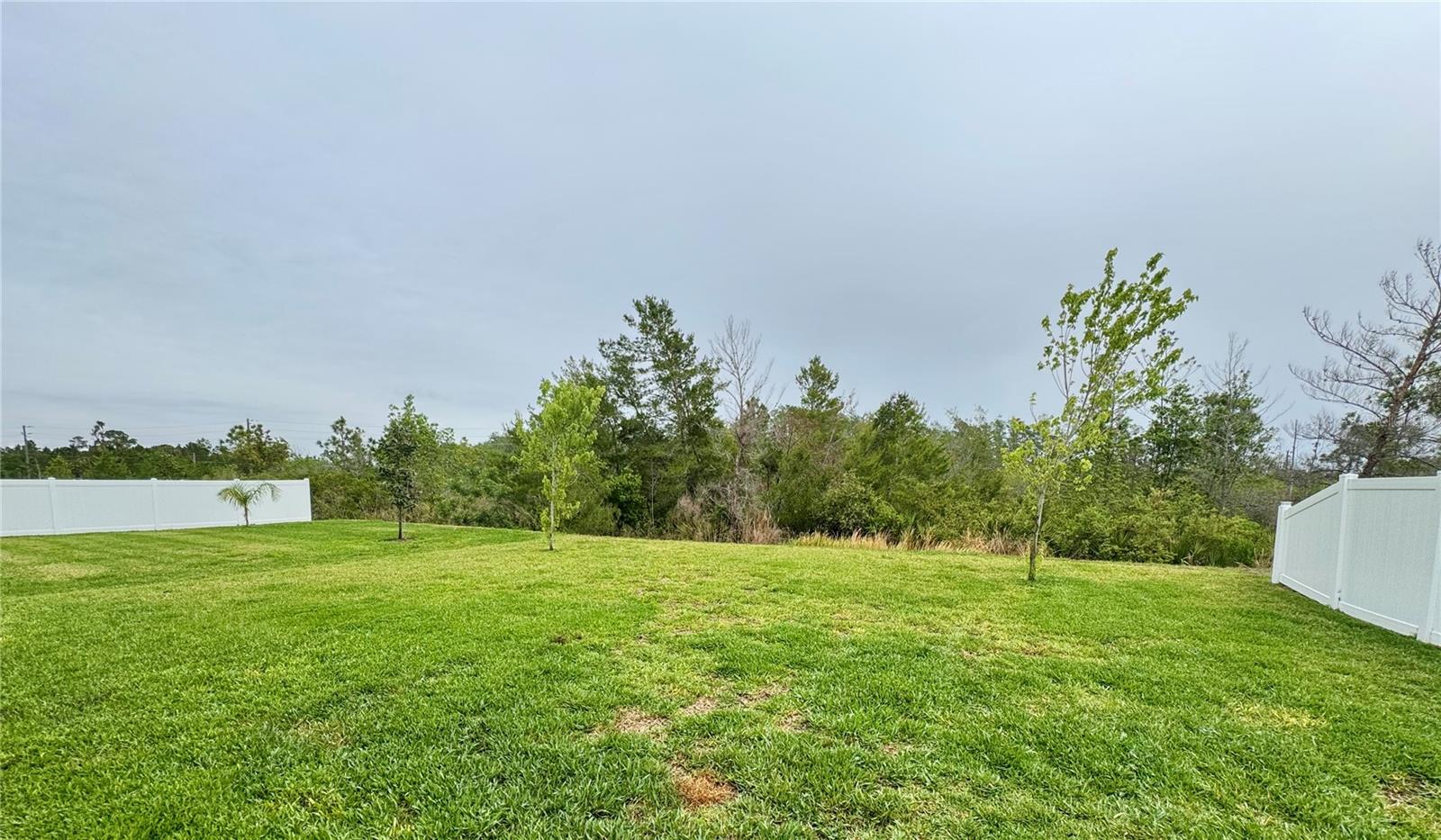 2688 NEVERLAND DR, NEW SMYRNA BEACH, FL, 32168