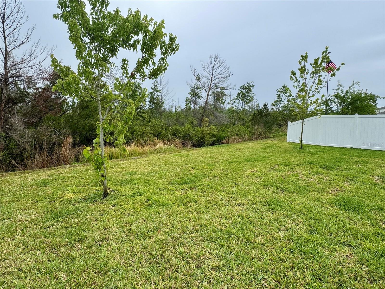 2688 NEVERLAND DR, NEW SMYRNA BEACH, FL, 32168