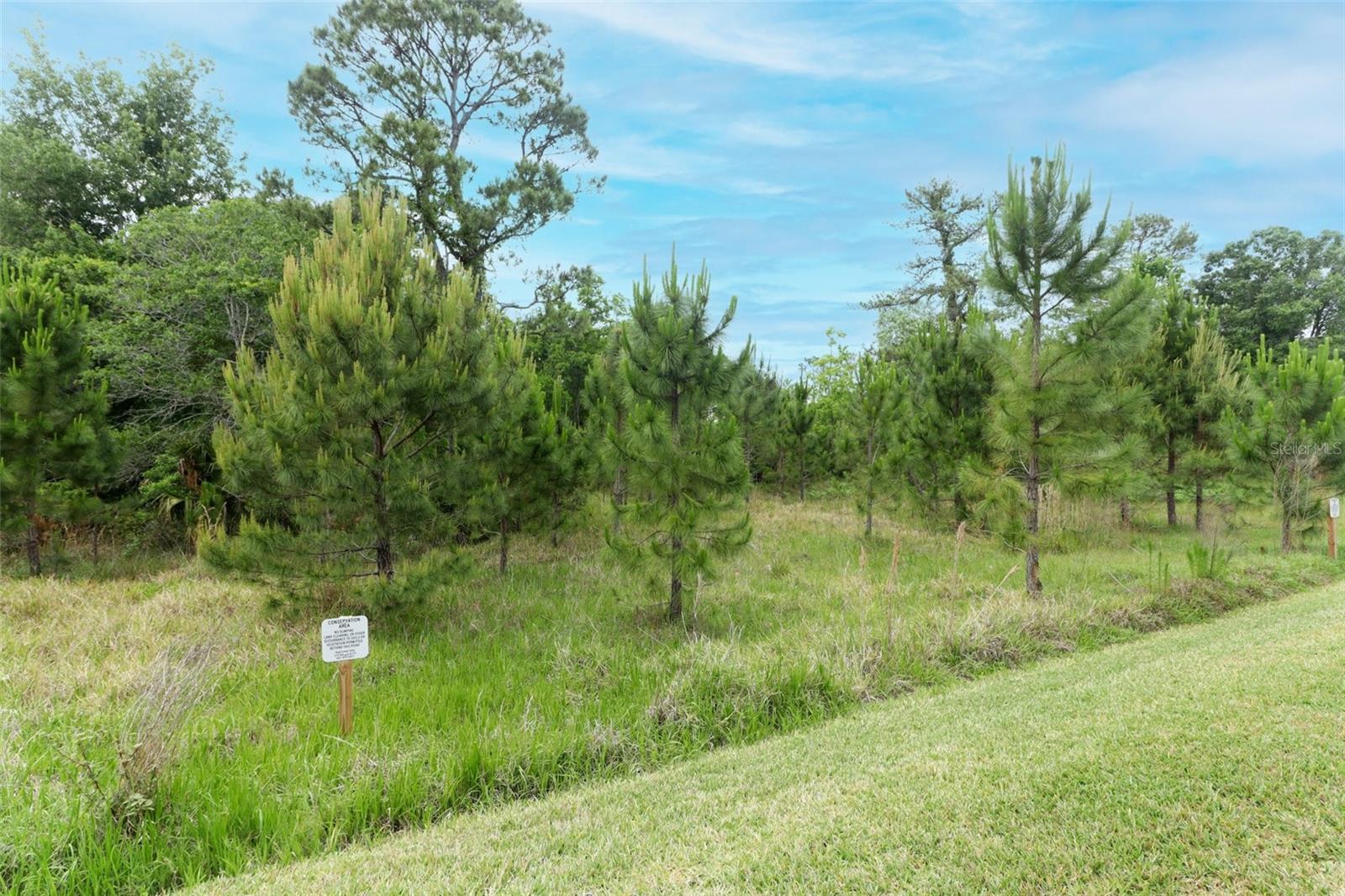 3316 OLD SOMERS CV, OVIEDO, FL, 32765